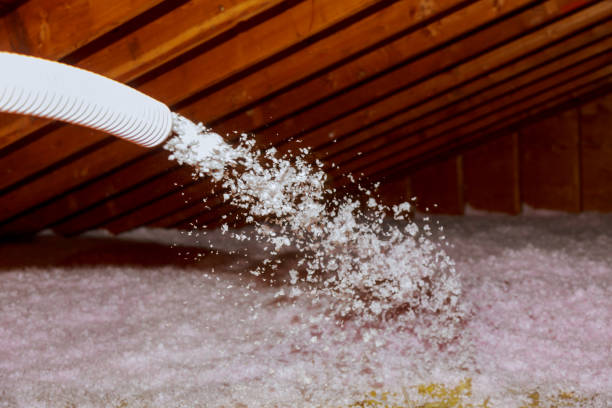 Best Best Insulation Companies  in Sullivan, MO