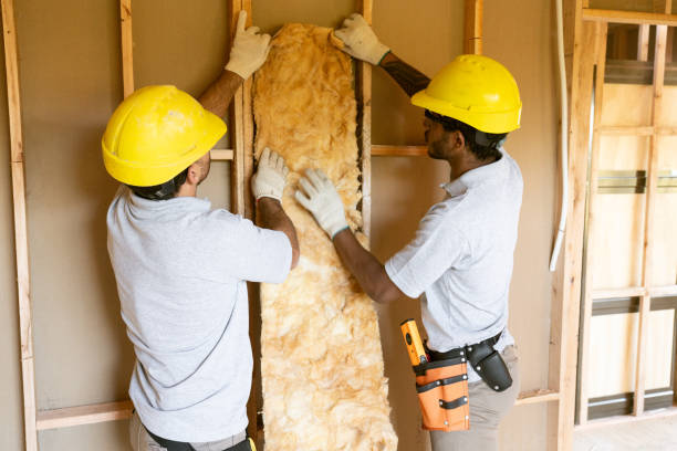 Best Cellulose Insulation  in Sullivan, MO