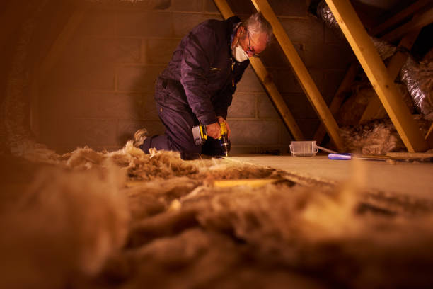 Best Blown-in Insulation  in Sullivan, MO